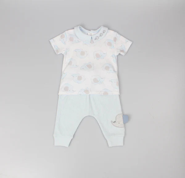 Elephant Set