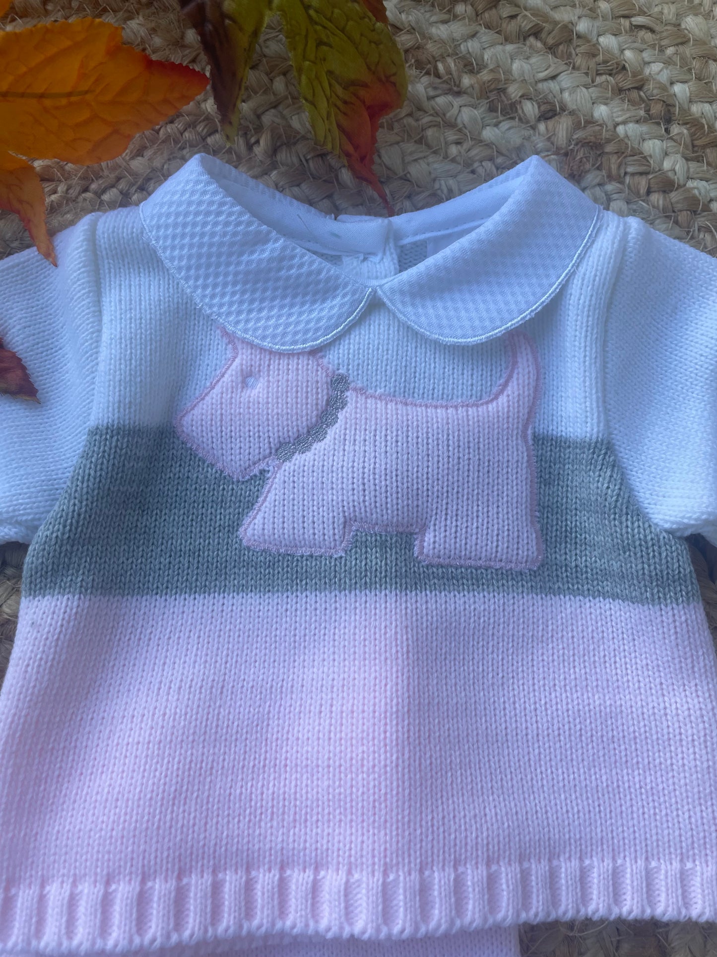 Pink Puppy knit set