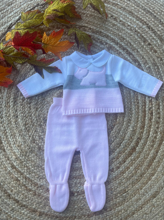 Pink Puppy knit set