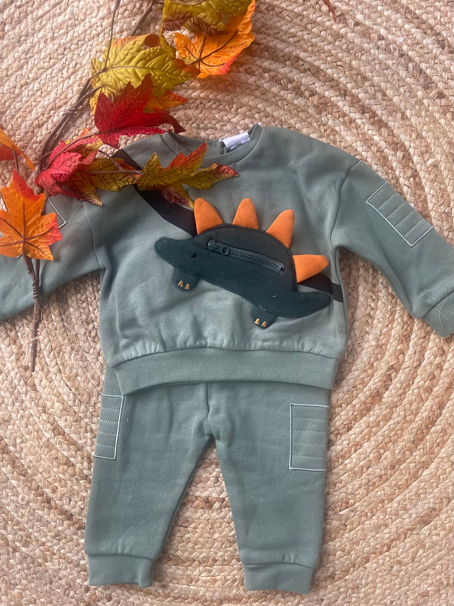Dinosaur Tracksuit