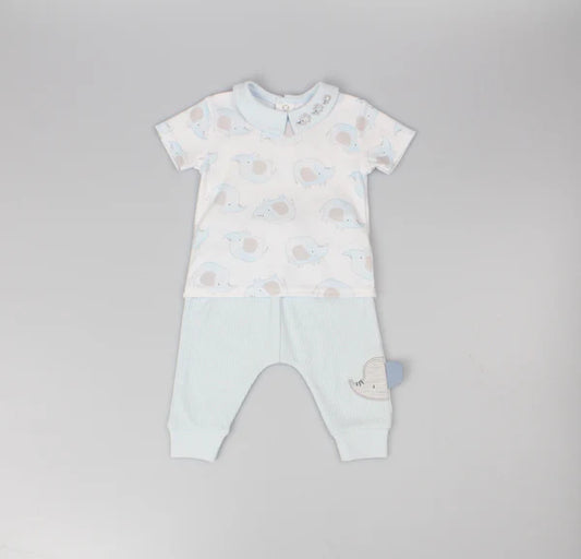 Elephant Set